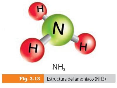 CICLO DEL NITROGENO at emaze Presentation