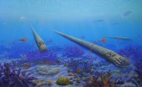 The ordovician silurian extinction at emaze Presentation