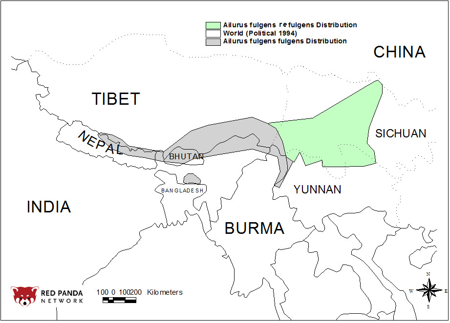 Red Pandas at emaze Presentation