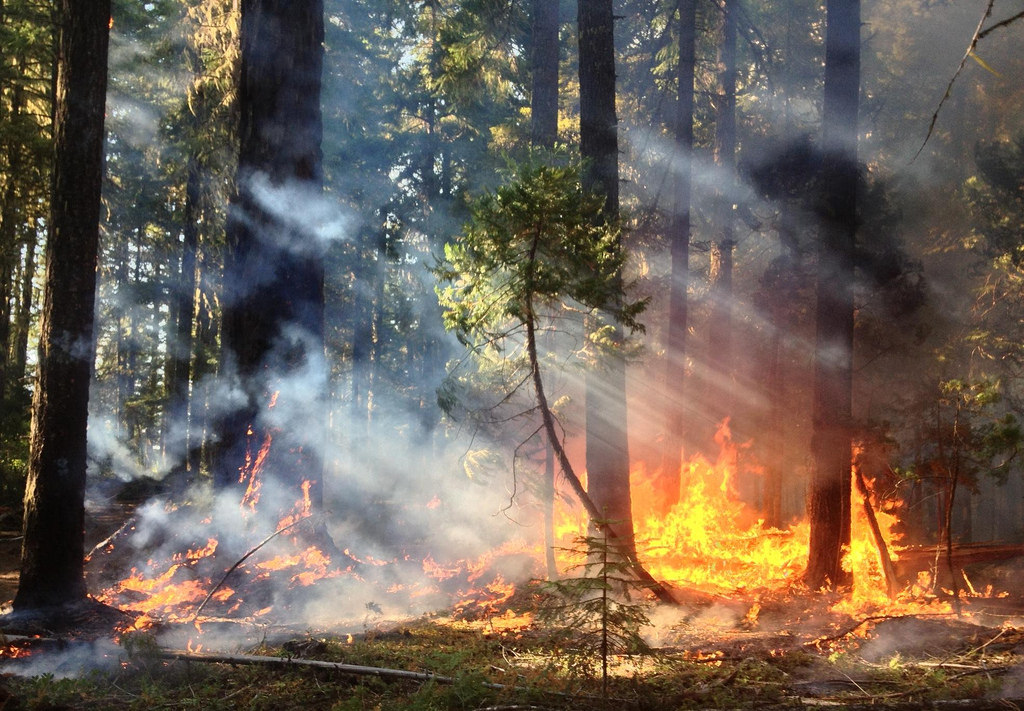Fire Going Right Fires going Uphill VS Fires Going Downhill at emaze Presentation