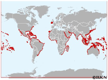 Tiger Shark Habitat Map Sand Tiger Sharkby By Legitness128 On Emaze