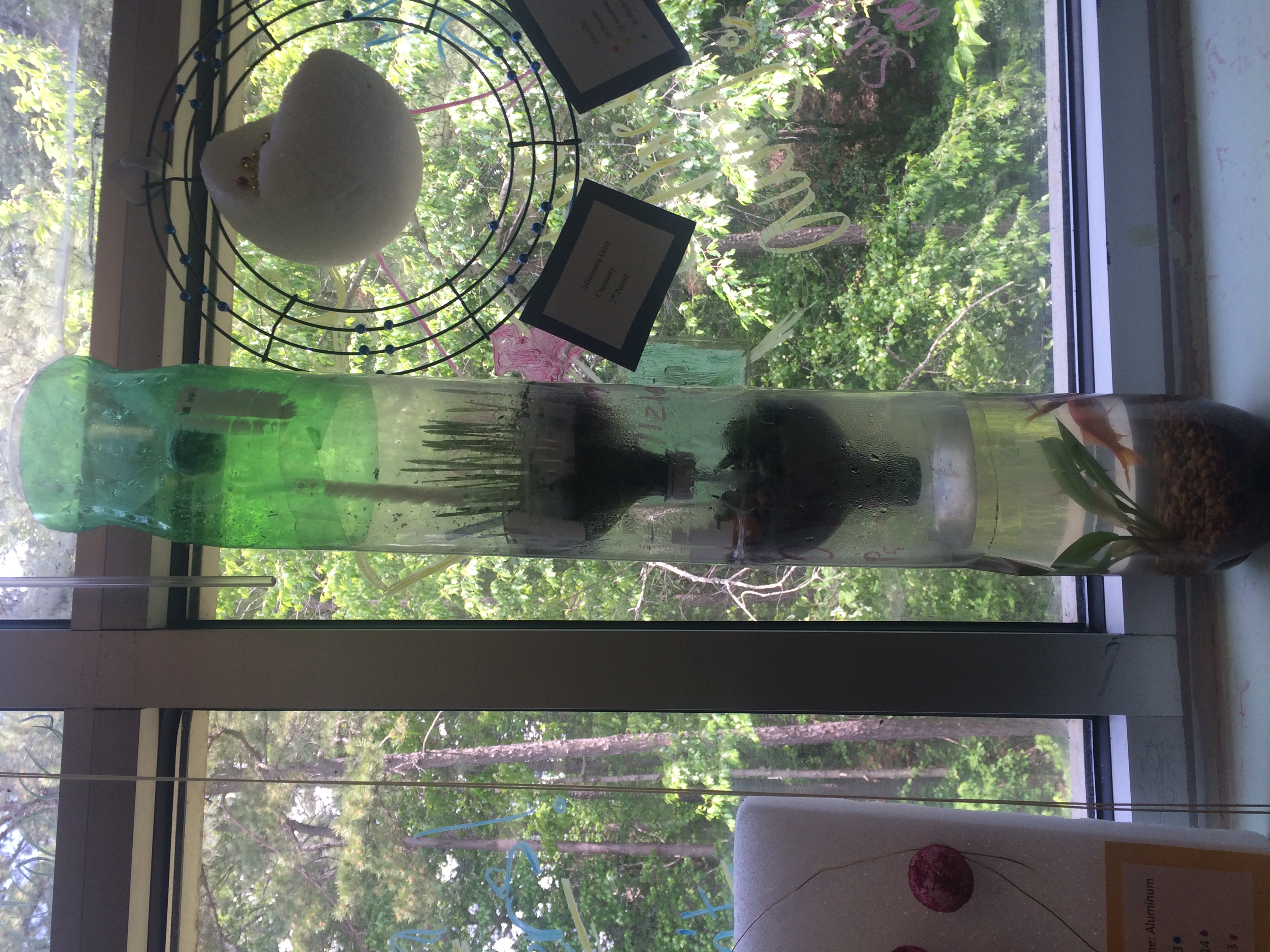 Biology Ecocolumn Project at emaze Presentation