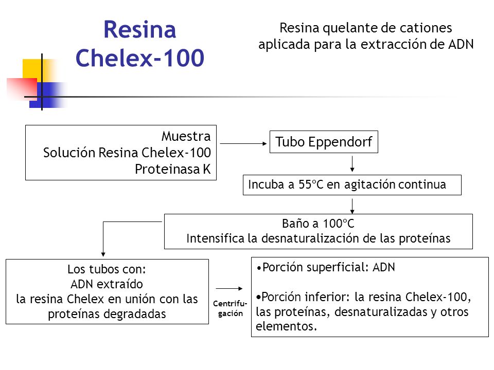 Métodos de extracción de ADN genómico on emaze