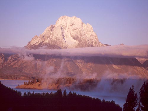 alpine-biome-on-emaze