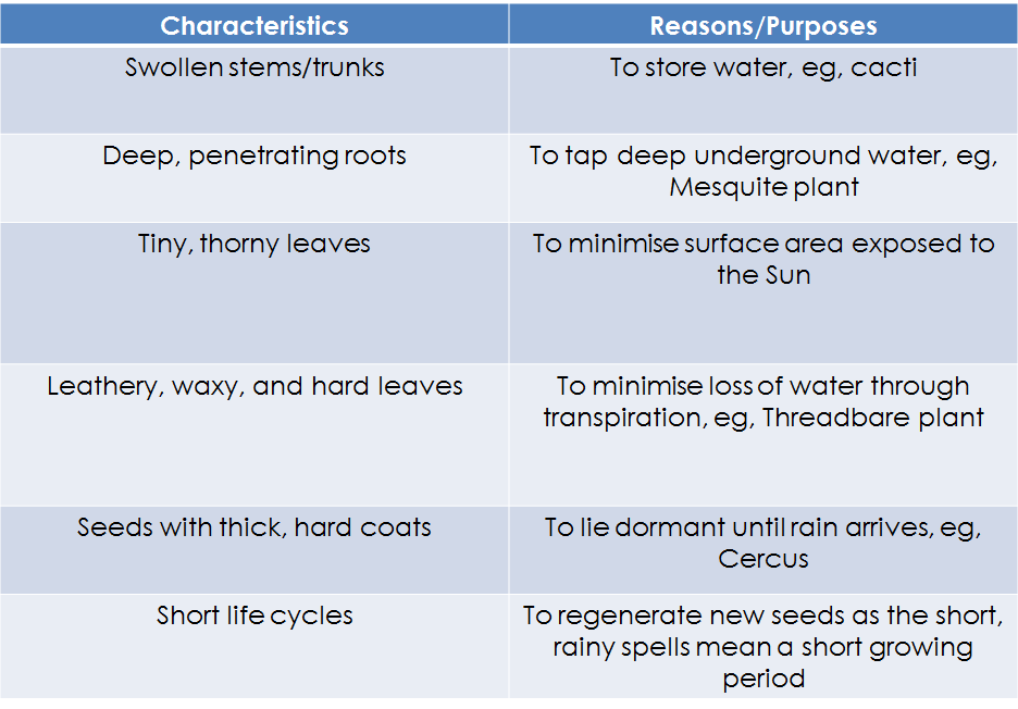 Natural Vegetation Sec 1 PB JAKARTA on emaze