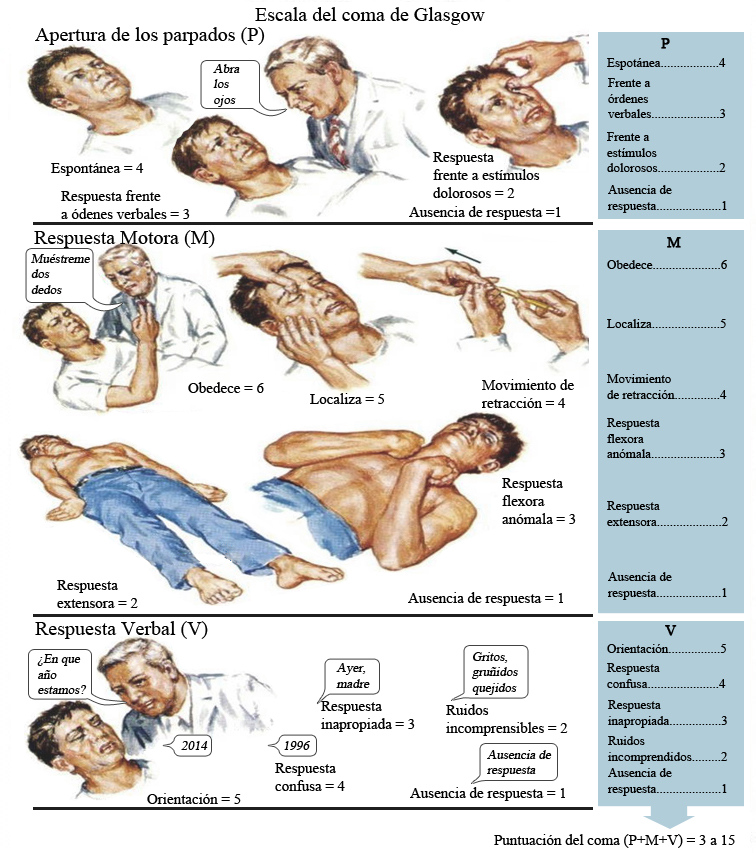 health-on-emaze
