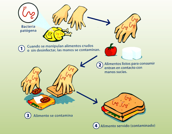 contaminaci-n-alimentos-on-emaze