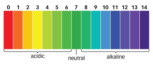 pH scale and logarithmic model on emaze