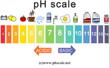 pH scale and logarithmic model on emaze