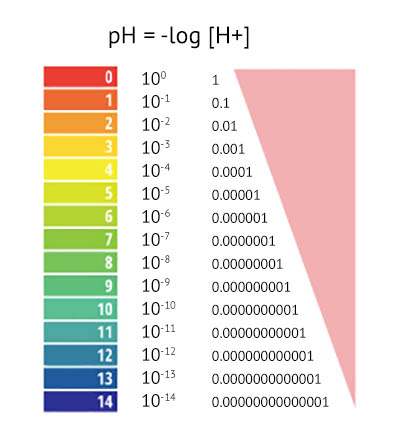 pH scale and logarithmic model on emaze