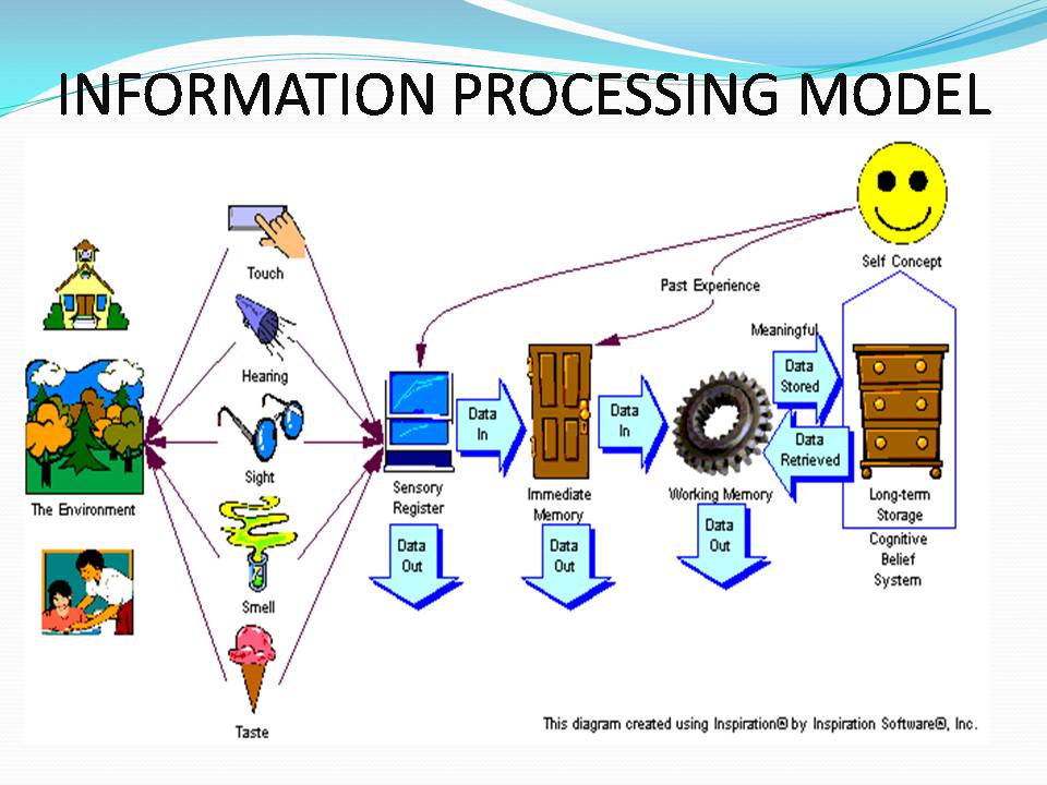 Information processes. Information processing. Cognitive processes.