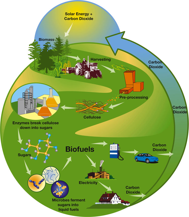 biogasbiofuel-at-emaze-presentation