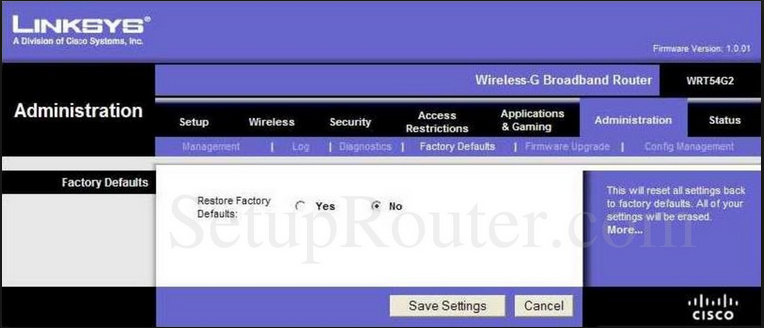 Junk Routers Presentation Name at emaze Presentation