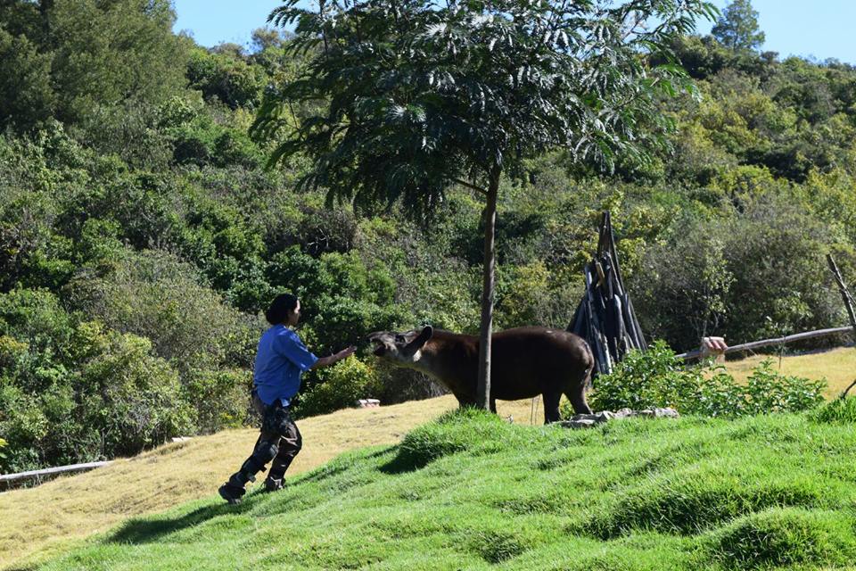 book A Simple Non Euclidean Geometry and Its