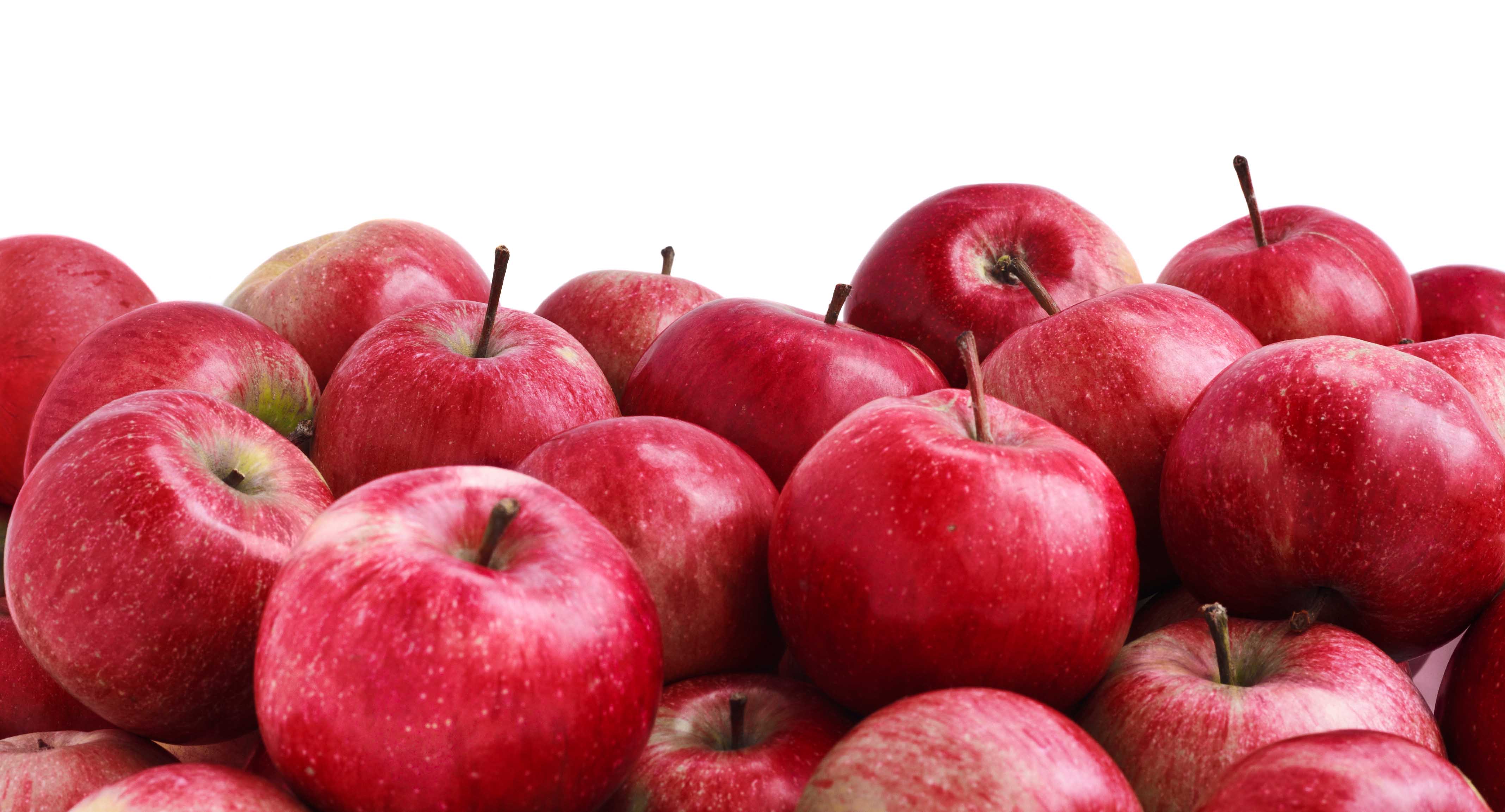 las manzanas on emaze las manzanas on emaze