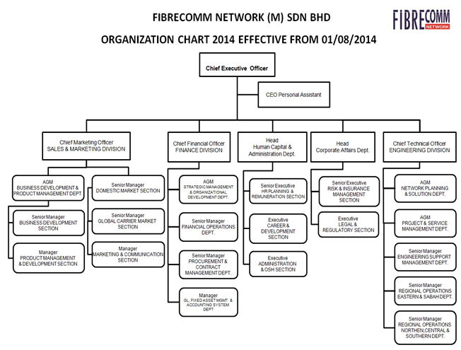 Celcom Organization Chart 2017