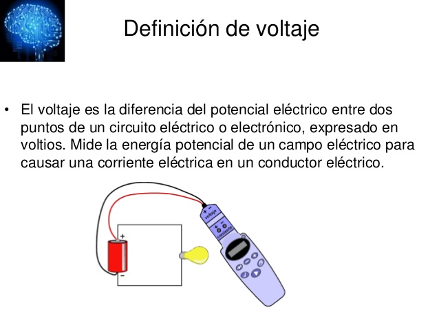 Taller Ciencias Naturales On Emaze 3786