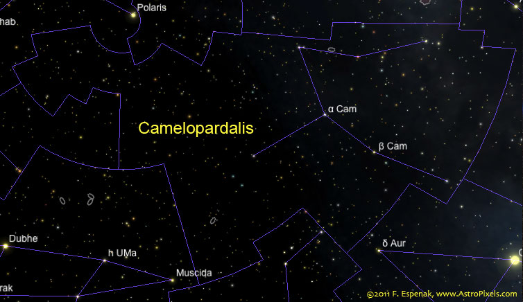 Жираф созвездие созвездия. Camelopardalis Созвездие. Альфа жирафа звезда. Мусцида звезда. Самая яркая звезда в созвездии Жираф.