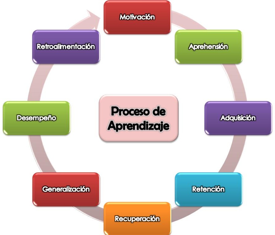 Etapas En El Proceso De Aprendizaje