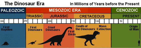 Prehistoric Pantheon: An Overview of Dinosaur Names from Different Time Periods - Various Periods: