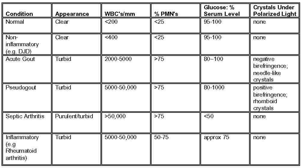 Presentation Name on emaze
