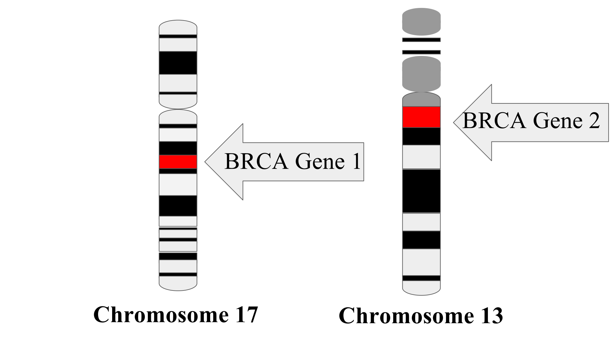 мутация генов brca1 и brca2. Brca мутация. мутация гена brca1. мутации в генах brca1 и brca2. мутация генов brca1 и brca2.