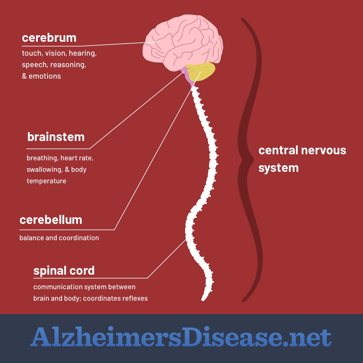 alzheimer-s-disease-on-emaze