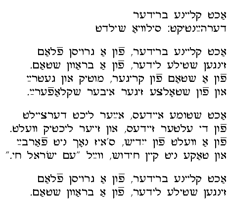 Punam Yiddish