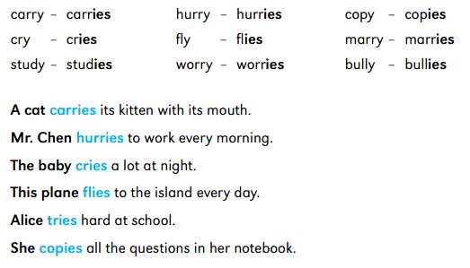 Add s to the verbs. Add s or es to the verbs ответы see. Add s or es to the verbs see. Study с окончанием s. Add- or-es to. The. Verbs.