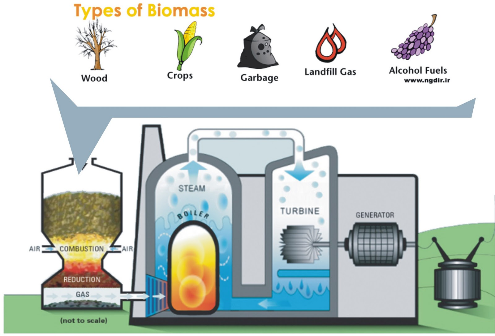 Biomass energy. Термохимический метод переработки биомассы. Энергия биомассы схема. Газификация биомассы схема. Утилизация биомассы.