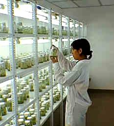 Resultado de imagen para IMAGENES DE BIOTECNOLOGIA BLANCA