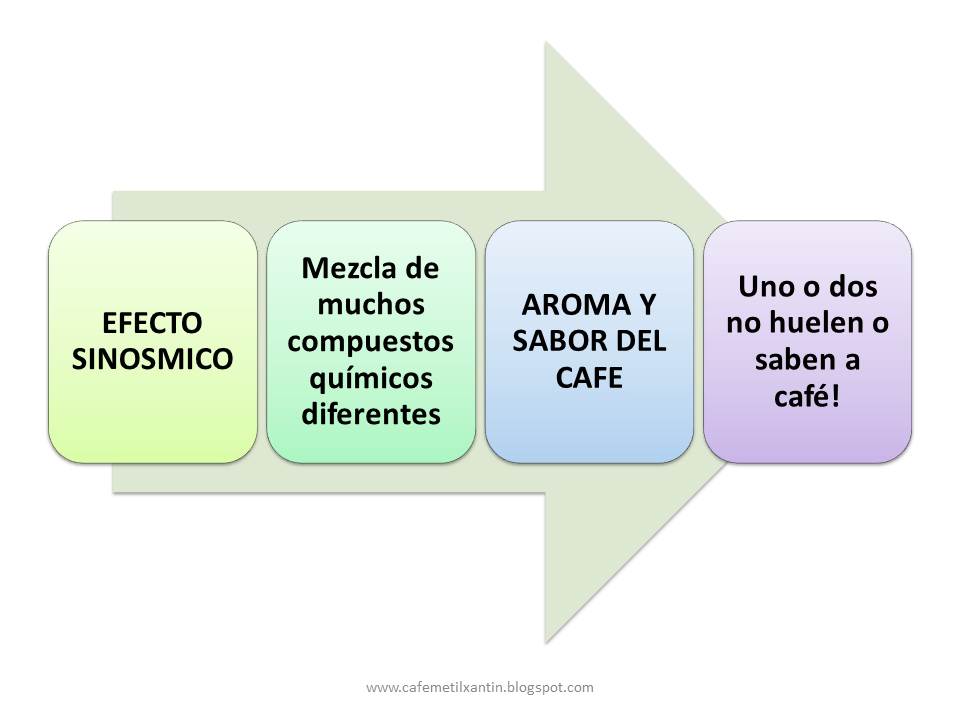 Guía para el uso del formulario SCAA catación de café arábica on emaze