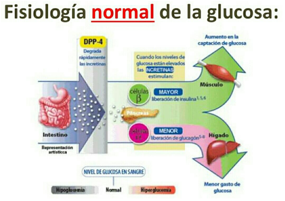 Sintomas de glucosa alta