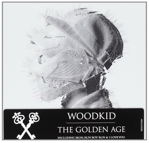Woodkid run. Woodkid обложка альбома. Woodkid the Golden age обложка. Woodkid, альбом "the Golden age. Run boy Run Woodkid.