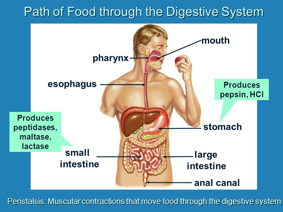 Science Presentation on emaze