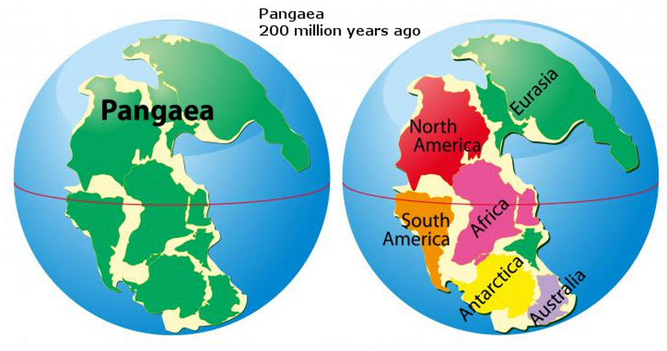 Карта материков земли до расхождения