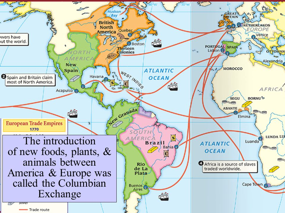 what was the columbian exchange essay