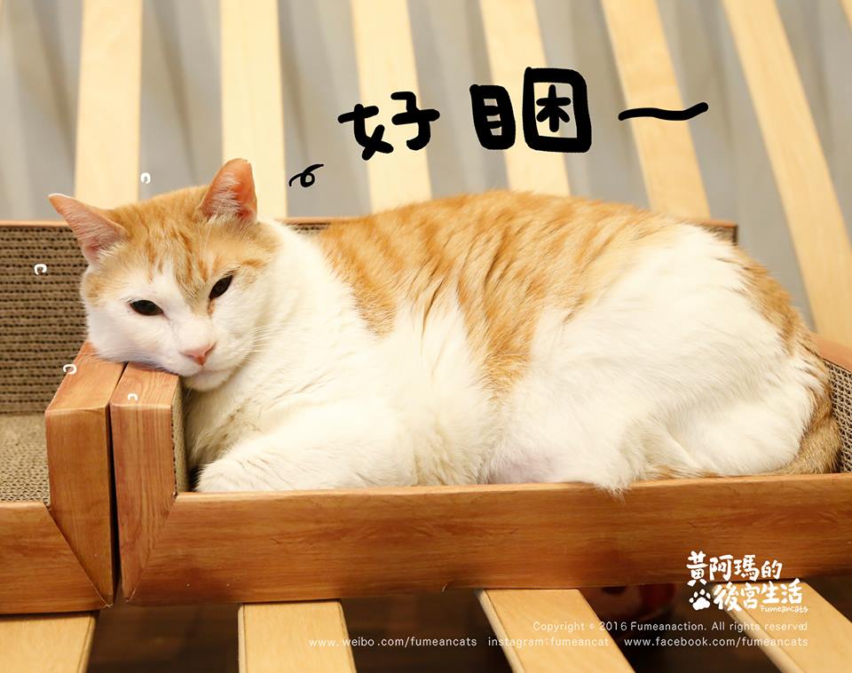 Presentation Name By Victor61305 On Emaze