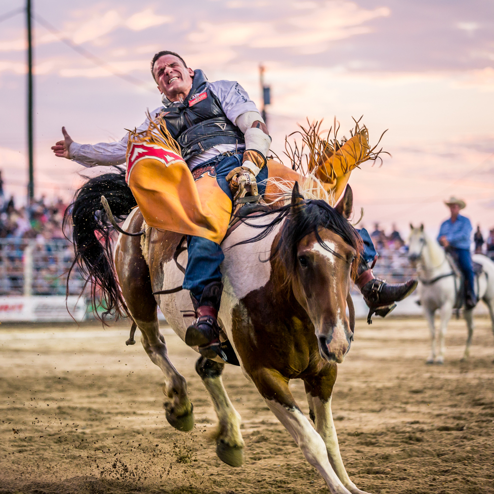 Pro Rodeo Bronc Rodeo at emaze Presentation