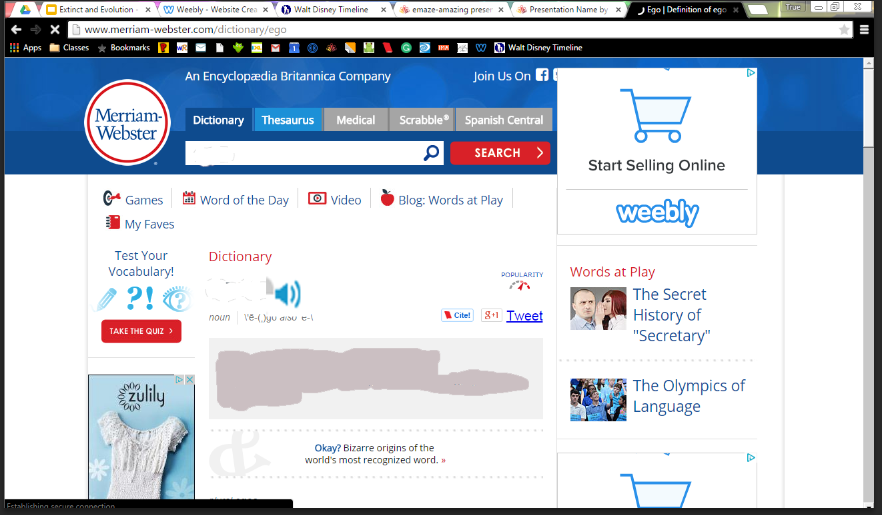 webster-word-on-emaze