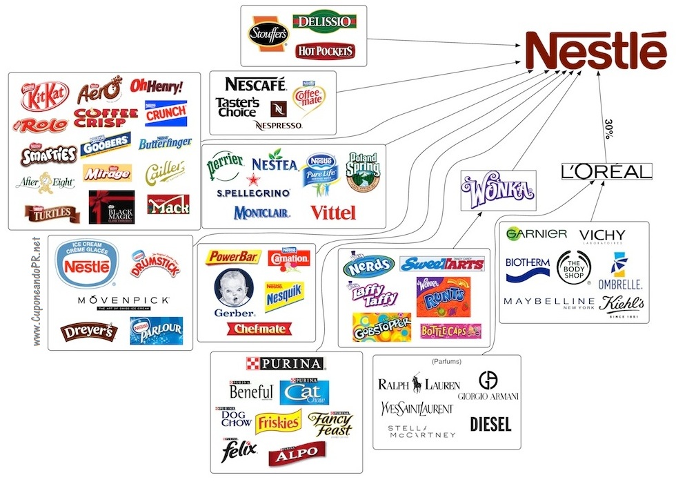 Какие компании входят. Нестле компании которые входят. Nestle бренды. Карта брендов Nestle. Нестле на карте.