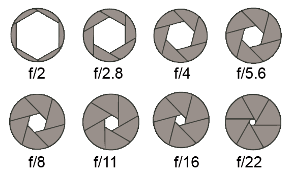 Диафрагма в фотоаппарате. Диафрагма фотоаппарата рисунок. Изображение диафрагмы объектива. Диафрагма в фотоаппарате Sony. Как выглядит диафрагма в фотоаппарате.
