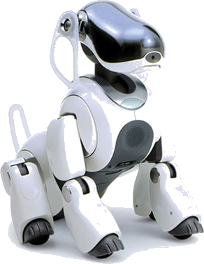 toto robot dog