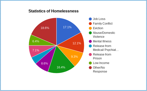 Reasons of homelessness. Reasons for homelessness. The reasons why people become homeless. Homelessness stats. Report reason