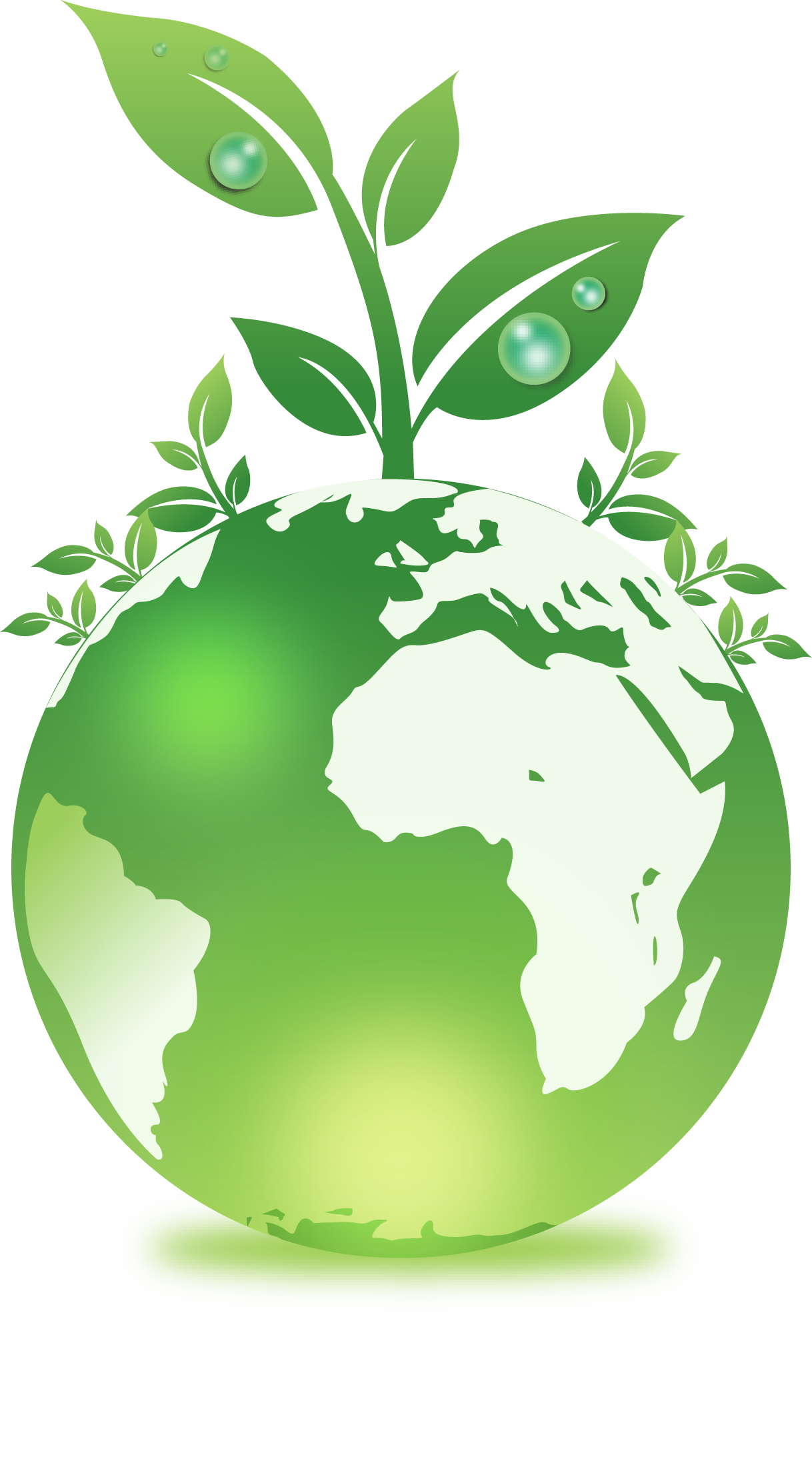 Resultado de imagen para naturalista