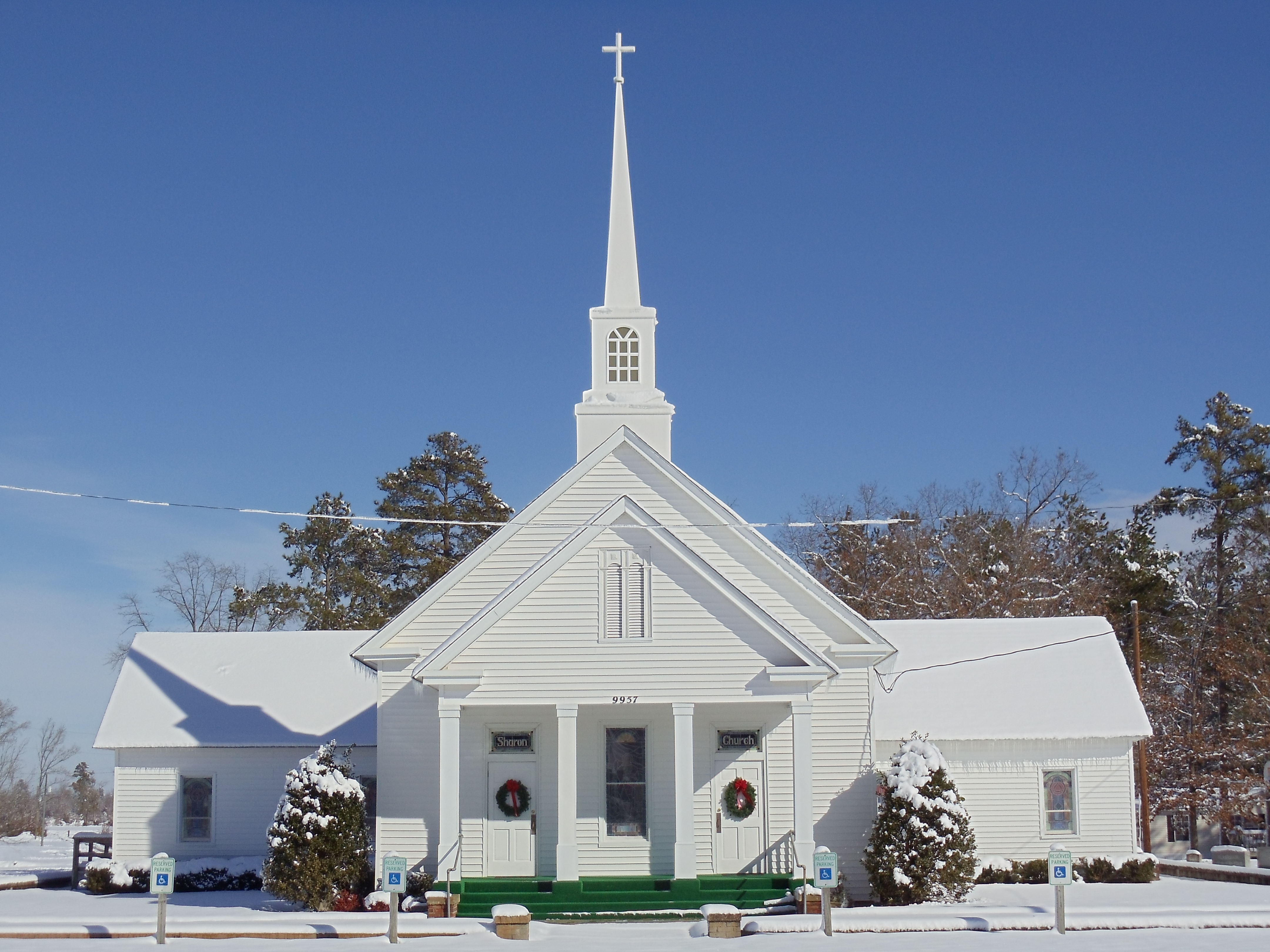 P church. Церковь для собак Вермонт. Собака в церкви.