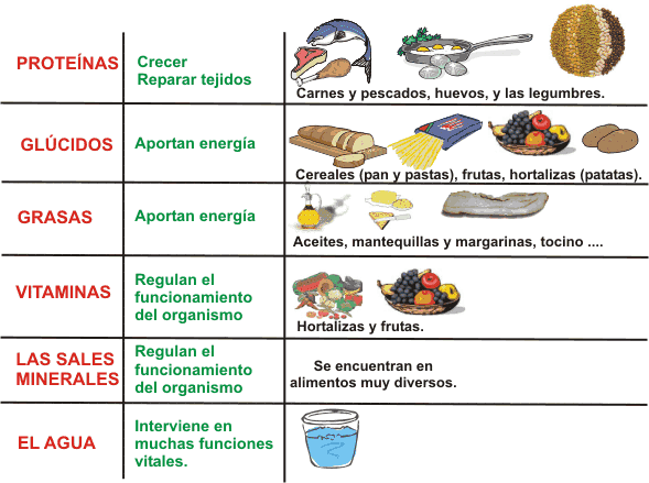 Valores de referencia de nutrientes