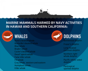 Ocean noise pollution