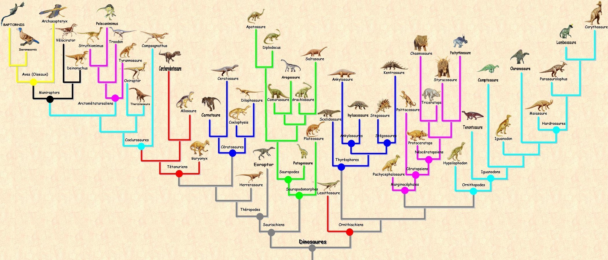 Мое перерождение в древо эволюции 181. Филогенетическое Древо динозавров. Филогенетическое Древо птиц. Филогенетическое Древо животных. Филогенетическое Древо позвоночных.