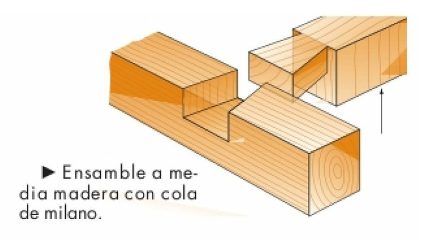 Ensamble A Cola De Milano Solapada